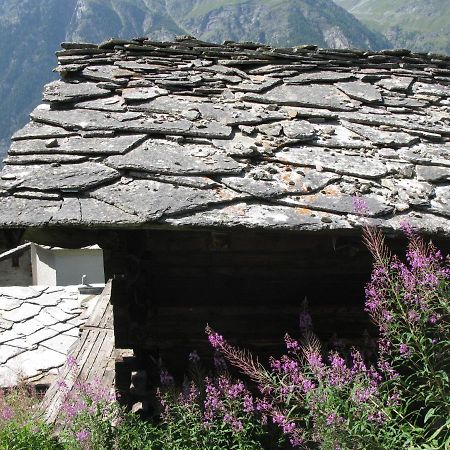 Alpia 26 - Zwei Zimmerwohnung In Traditionellem Walliser Haus Gasenried Екстериор снимка