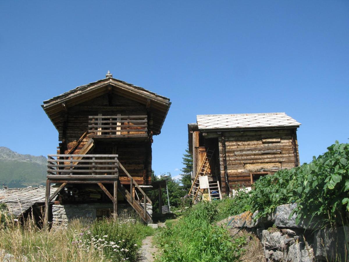 Alpia 26 - Zwei Zimmerwohnung In Traditionellem Walliser Haus Gasenried Екстериор снимка